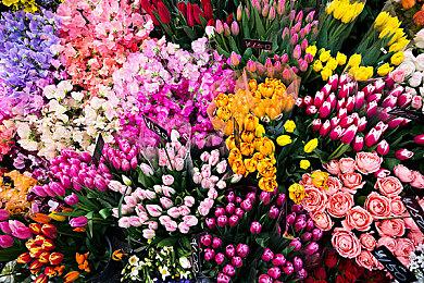 微软Xbox招聘图形工程师：开发最顶尖的图形技术