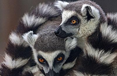 《模拟农场22》全球销量超过300万套